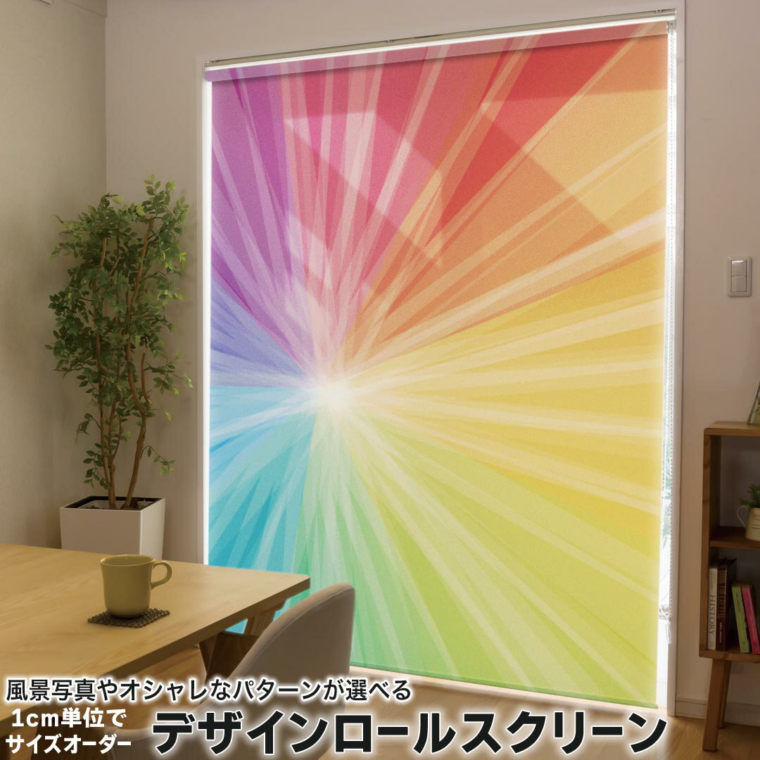 1cm単位サイズオーダー ロールスクリーン ロールカーテン オーダーメイド タチカワ 日本製 間仕切り カーテン 採光 非遮光 目隠し UVカット カーテンレール チェーン式 プル式 002093 クール カラフル　シンプル