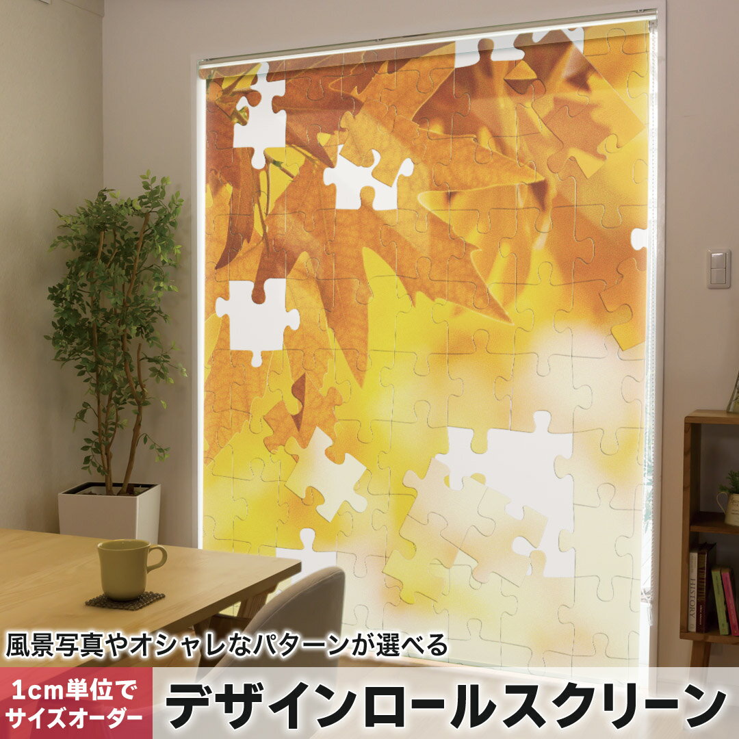 1cm単位サイズオーダー ロールスクリーン ロールカーテン オーダーメイド タチカワ 日本製 間仕切り カ..