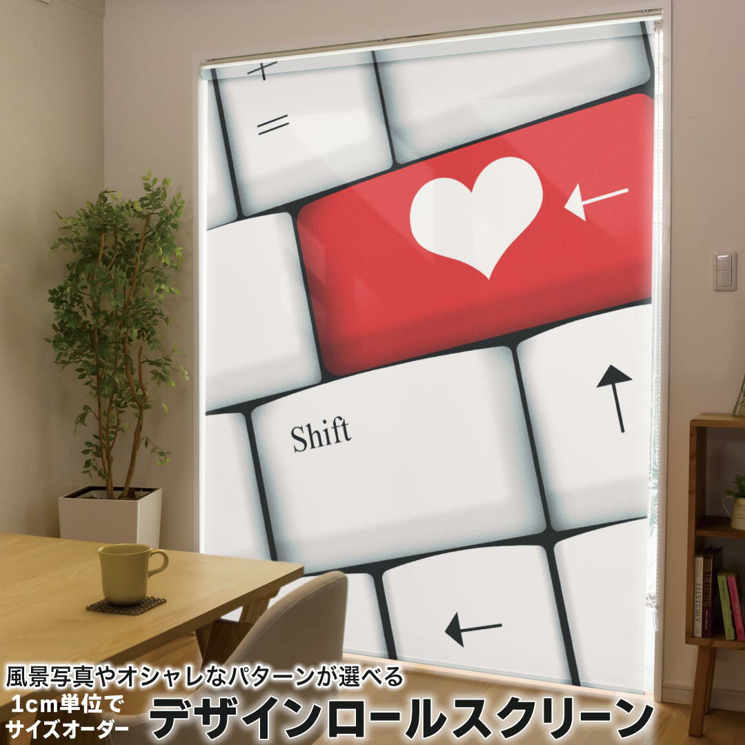 1cm単位サイズオーダー ロールスクリーン ロールカーテン オーダーメイド タチカワ 日本製 間仕切り カ..