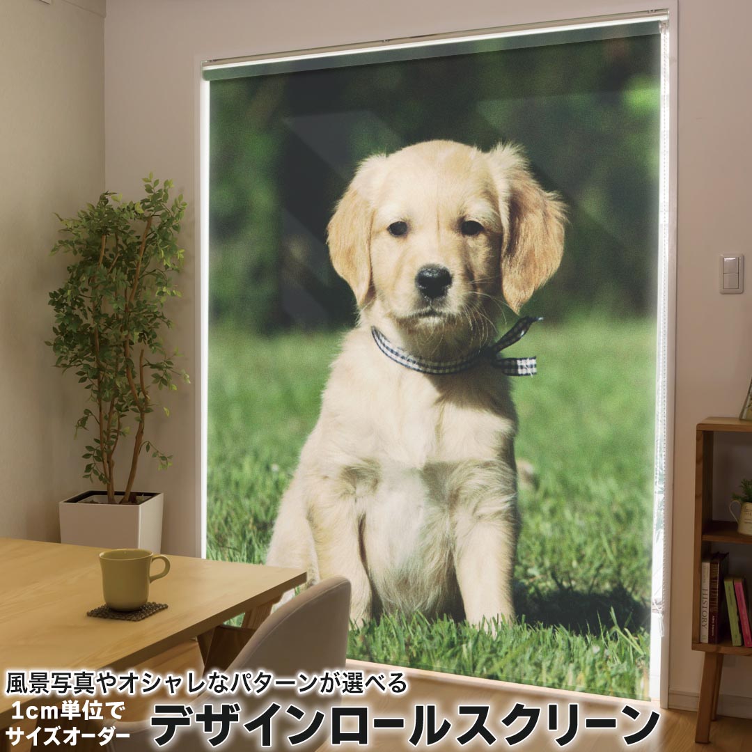 1cm単位サイズオーダー ロールスクリーン ロールカーテン オーダーメイド タチカワ 日本製 間仕切り カーテン 採光 非遮光 目隠し UVカット カーテンレール チェーン式 プル式 002580 アニマル 犬 動物 写真