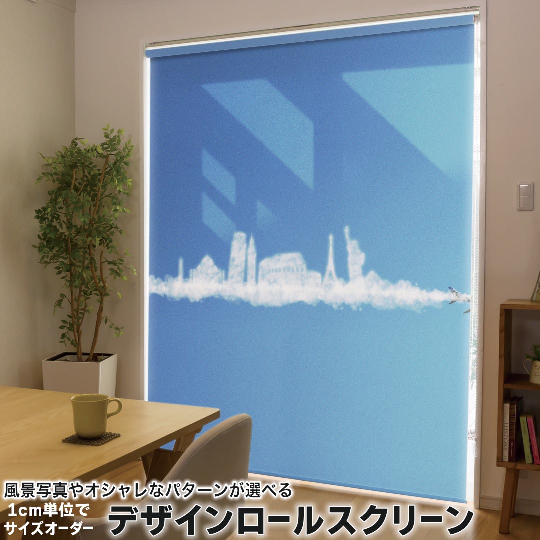 1cm単位サイズオーダー ロールスクリーン ロールカーテン オーダーメイド タチカワ 日本製 間仕切り カーテン 採光 非遮光 目隠し UVカット カーテンレール チェーン式 プル式 002768 写真・風景 空　乗り物　飛行機