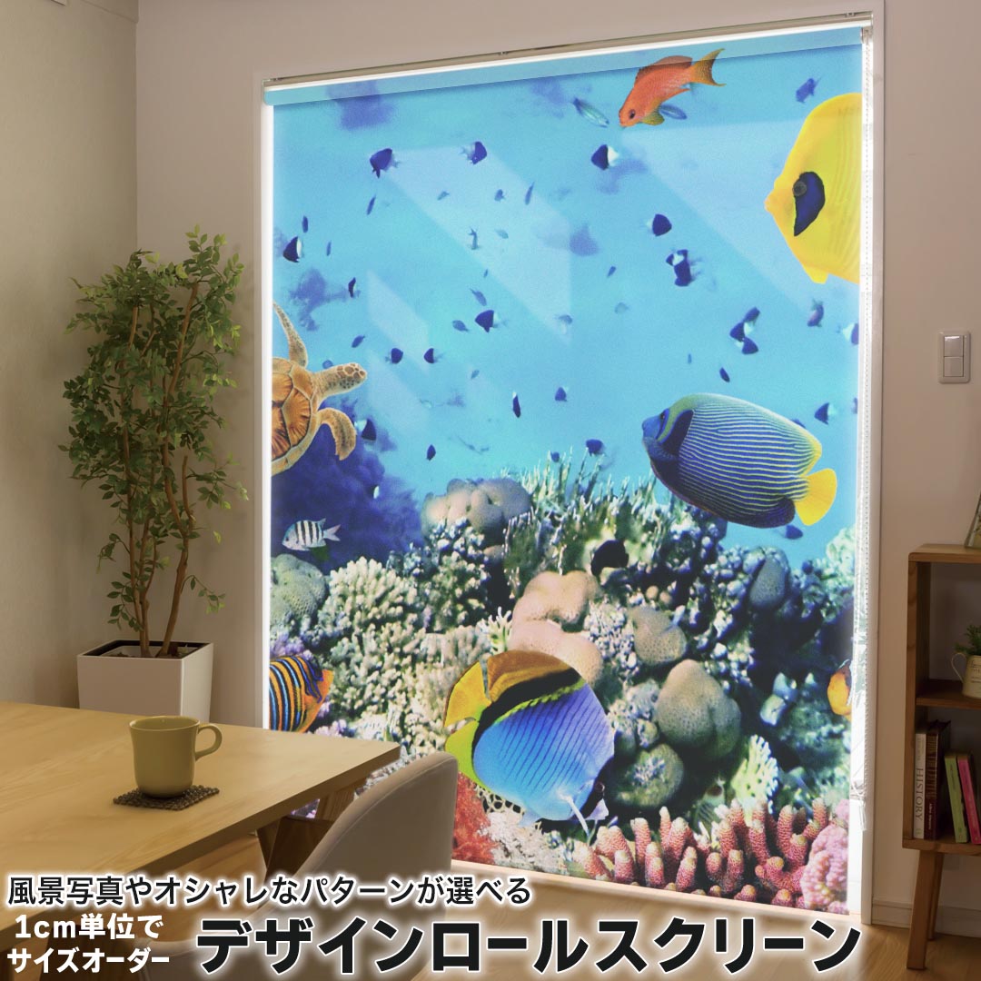 1cm単位サイズオーダー ロールスクリーン ロールカーテン オーダーメイド タチカワ 日本製 間仕切り カーテン 採光 非遮光 目隠し UVカット カーテンレール チェーン式 プル式 002823 写真・風景 海 写真 カラフル