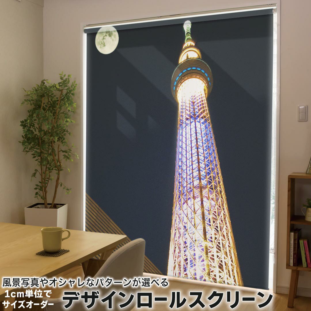 1cm単位サイズオーダー ロールスクリーン ロールカーテン オーダーメイド タチカワ 日本製 間仕切り カーテン 採光 非遮光 目隠し UVカット カーテンレール チェーン式 プル式 002838 写真・風景 景色　風景　写真