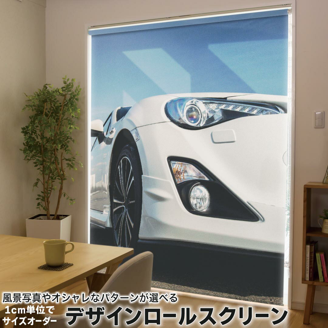 1cm単位サイズオーダー ロールスクリーン ロールカーテン オーダーメイド タチカワ 日本製 間仕切り カーテン 採光 非遮光 目隠し UVカット カーテンレール チェーン式 プル式 002879 スポーツ 車 写真