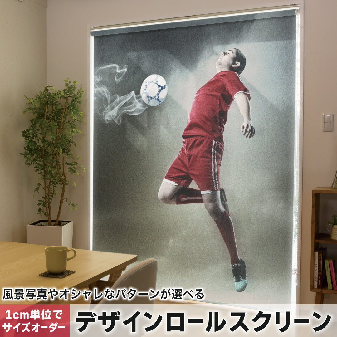 1cm単位サイズオーダー ロールスクリーン ロールカーテン オーダーメイド タチカワ 日本製 間仕切り カーテン 採光 非遮光 目隠し UVカット カーテンレール チェーン式 プル式 002888 スポーツ スポーツ　人物　写真