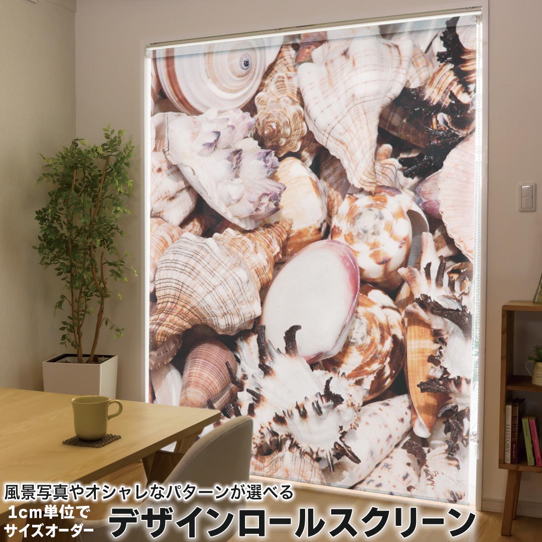 1cm単位サイズオーダー ロールスクリーン ロールカーテン オーダーメイド タチカワ 日本製 間仕切り カーテン 採光 非遮光 目隠し UVカット カーテンレール チェーン式 プル式 002925 写真・風景 海 貝殻 写真