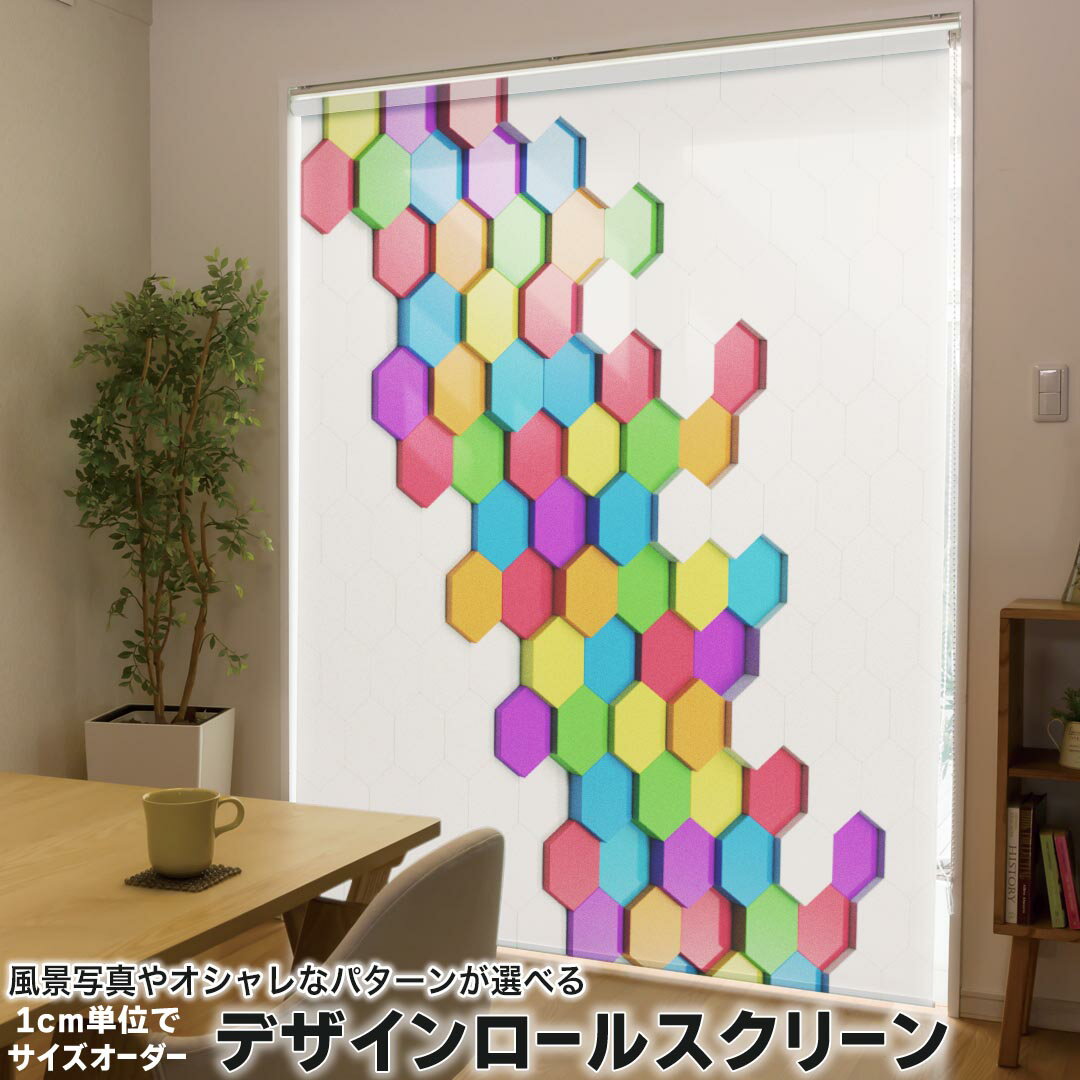 1cm単位サイズオーダー ロールスクリーン ロールカーテン オーダーメイド タチカワ 日本製 間仕切り カーテン 採光 非遮光 目隠し UVカット カーテンレール チェーン式 プル式 002956 ユニーク カラフル シンプル