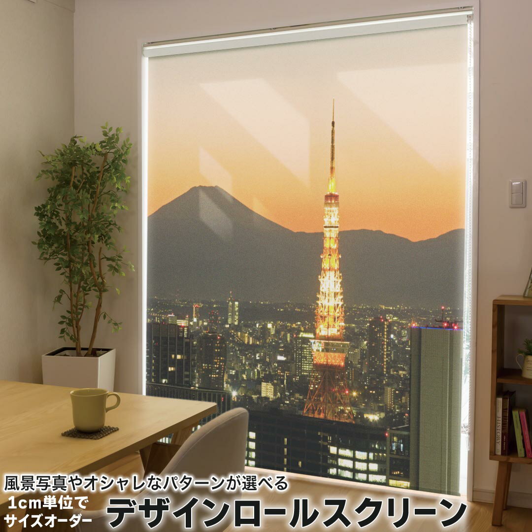 1cm単位サイズオーダー ロールスクリーン ロールカーテン オーダーメイド タチカワ 日本製 間仕切り カーテン 採光 非遮光 目隠し UVカット カーテンレール チェーン式 プル式 003162 その他 写真・風景 クール 写真　景色　風景