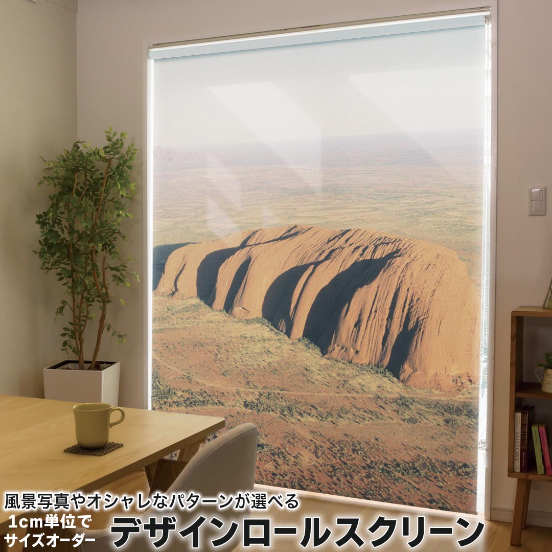 1cm単位サイズオーダー ロールスクリーン ロールカーテン オーダーメイド タチカワ 日本製 間仕切り カーテン 採光 非遮光 目隠し UVカット カーテンレール チェーン式 プル式 003274 その他 写真・風景 クール 外国 写真 景色 風景