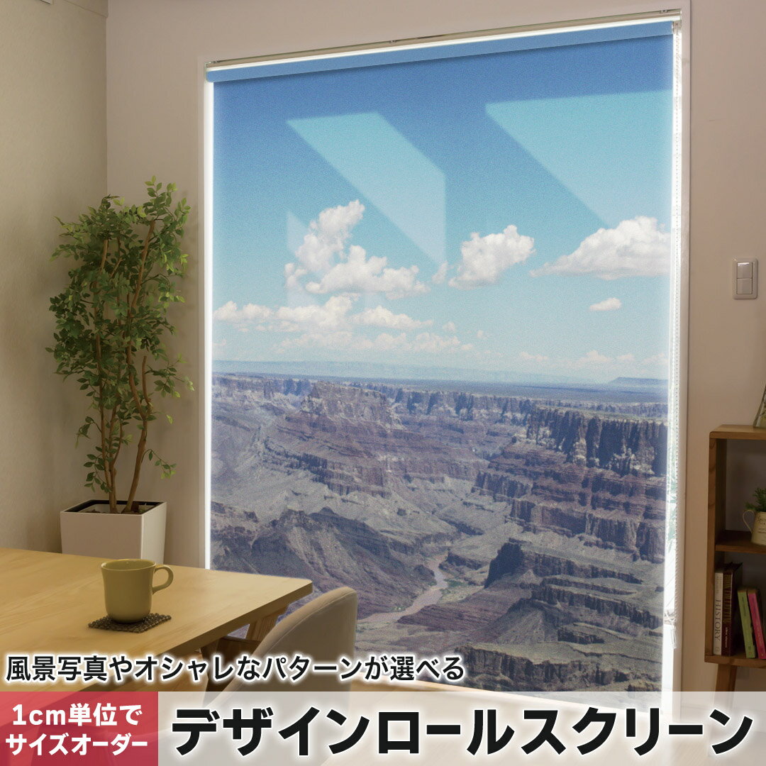 1cm単位サイズオーダー ロールスクリーン ロールカーテン オーダーメイド タチカワ 日本製 間仕切り カーテン 採光 非遮光 目隠し UVカット カーテンレール チェーン式 プル式 003275 その他 クール 写真・風景 外国　写真　景色　風景