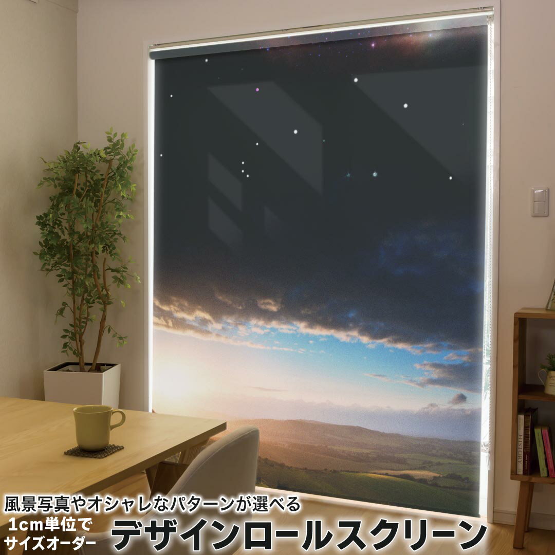 1cm単位サイズオーダー ロールスクリーン ロールカーテン オーダーメイド タチカワ 日本製 間仕切り カーテン 採光 非遮光 目隠し UVカット カーテンレール チェーン式 プル式 003286 写真・風景 その他 クール 外国 写真 景色 風景