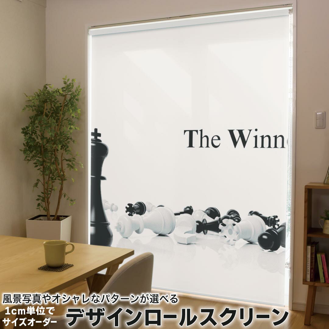 1cm単位サイズオーダー ロールスクリーン ロールカーテン オーダーメイド タチカワ 日本製 間仕切り カ..