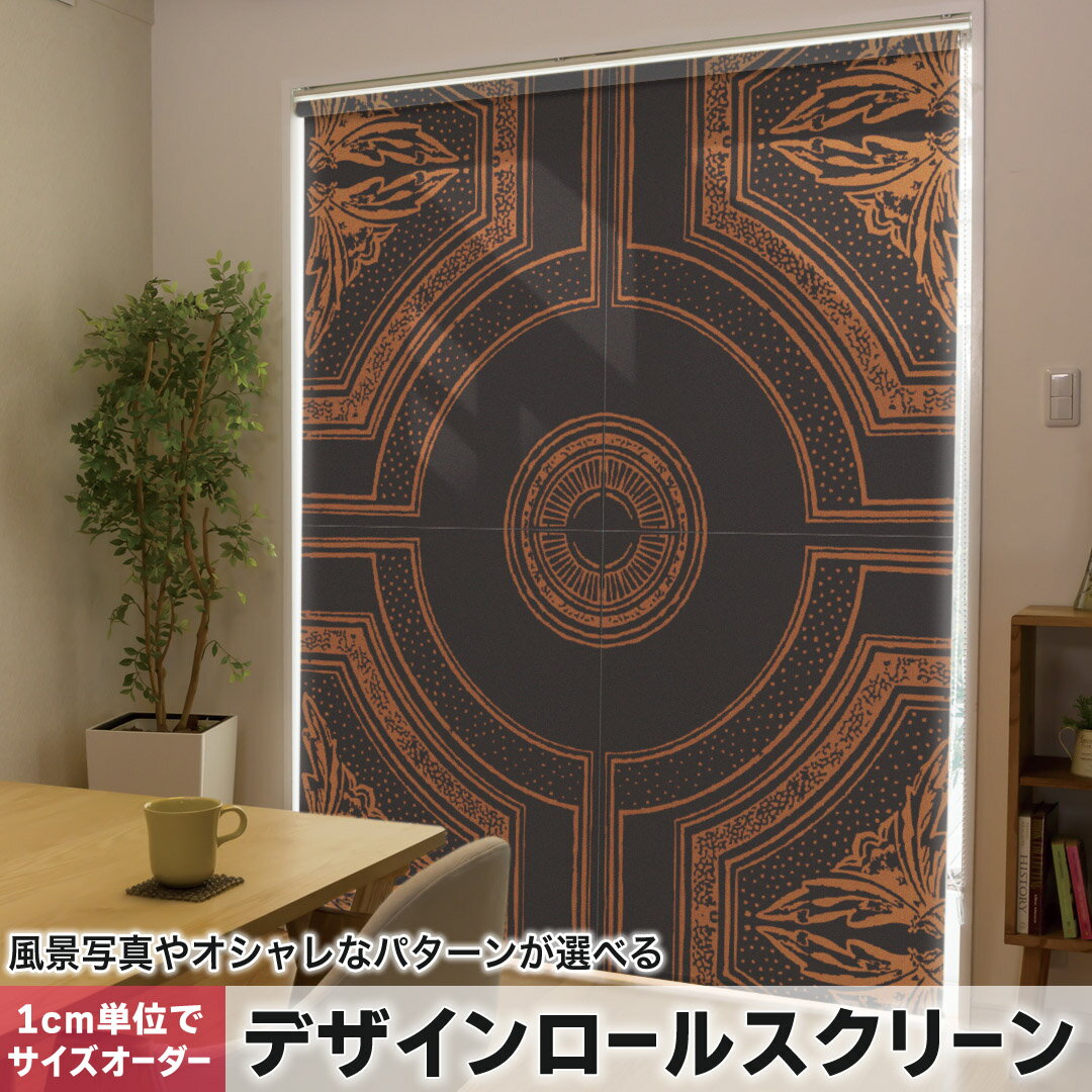 1cm単位サイズオーダー ロールスクリーン ロールカーテン オーダーメイド タチカワ 日本製 間仕切り カーテン 採光 非遮光 目隠し UVカット カーテンレール チェーン式 プル式 003833 クール 模様 エレガント 黒