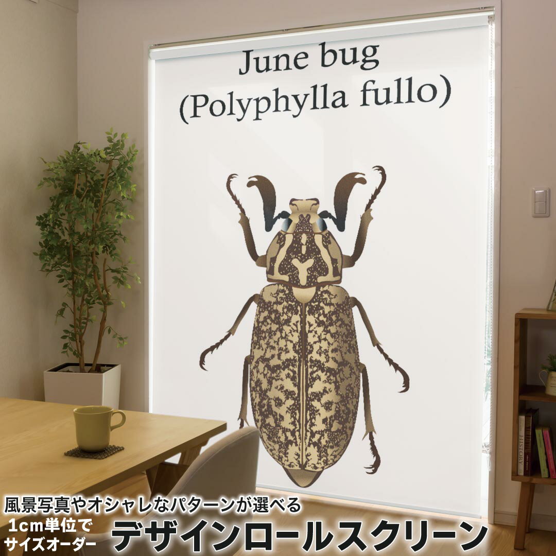 1cm単位サイズオーダー ロールスクリーン ロールカーテン オーダーメイド タチカワ 日本製 間仕切り カ..