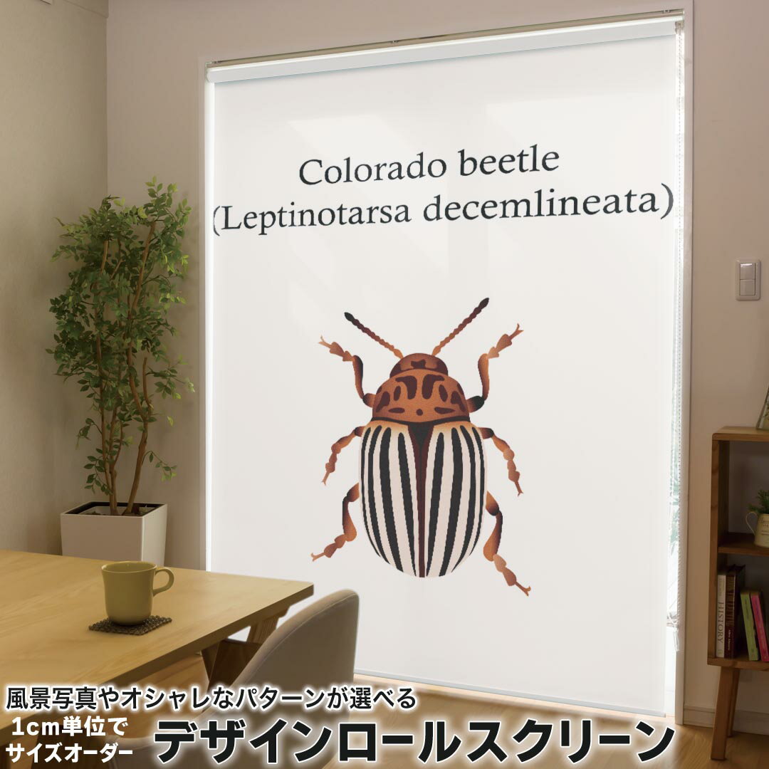 1cm単位サイズオーダー ロールスクリーン ロールカーテン オーダーメイド タチカワ 日本製 間仕切り カ..