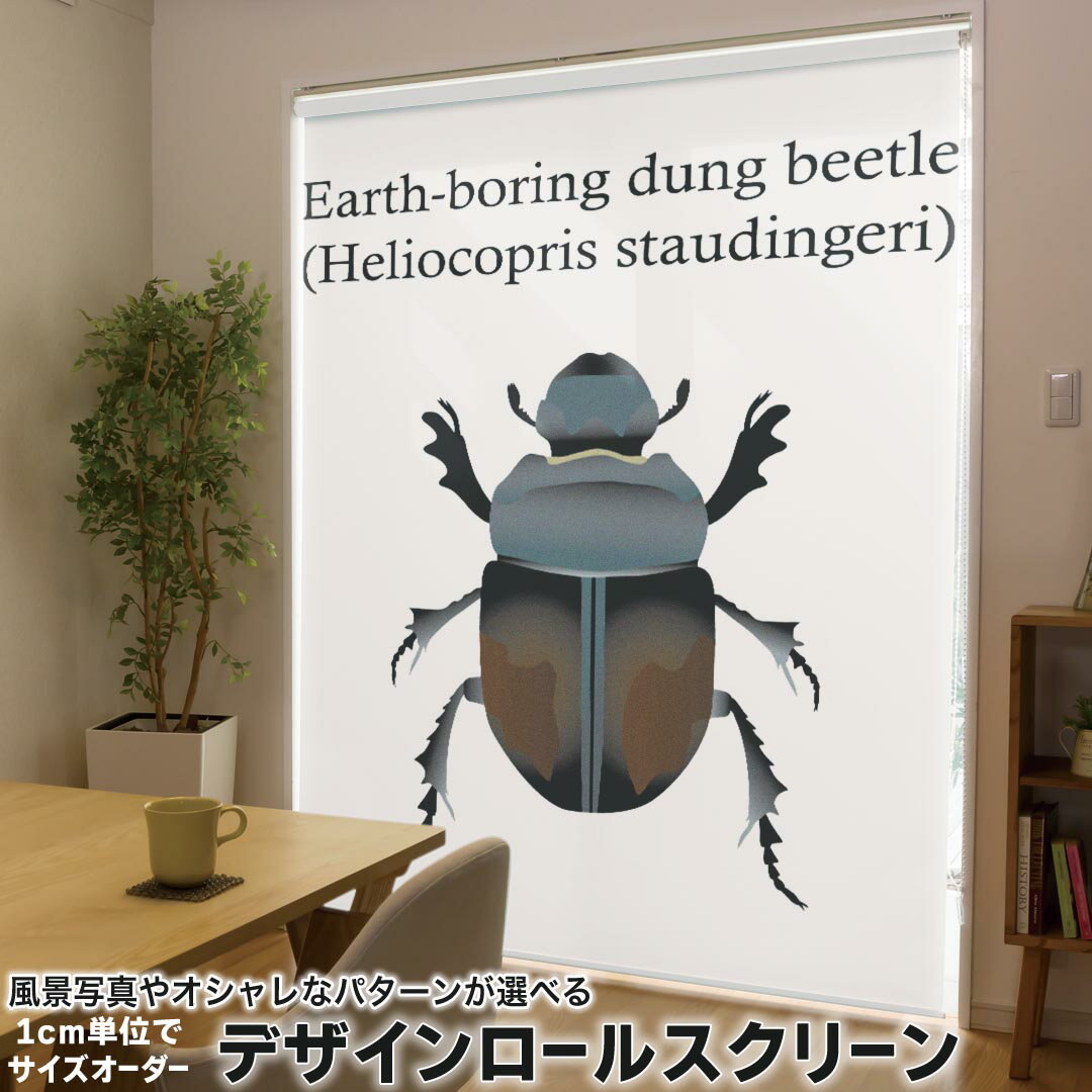 ~120 cm - 1cm単位サイズオーダー ロールスクリーン ロールカーテン オーダーメイド タチカワ 日本製 間仕切り カーテン 採光 非遮光 目隠し UVカット カーテンレール チェーン式 プル式 020025 虫 虫 Dung Beetle フンコロガシ