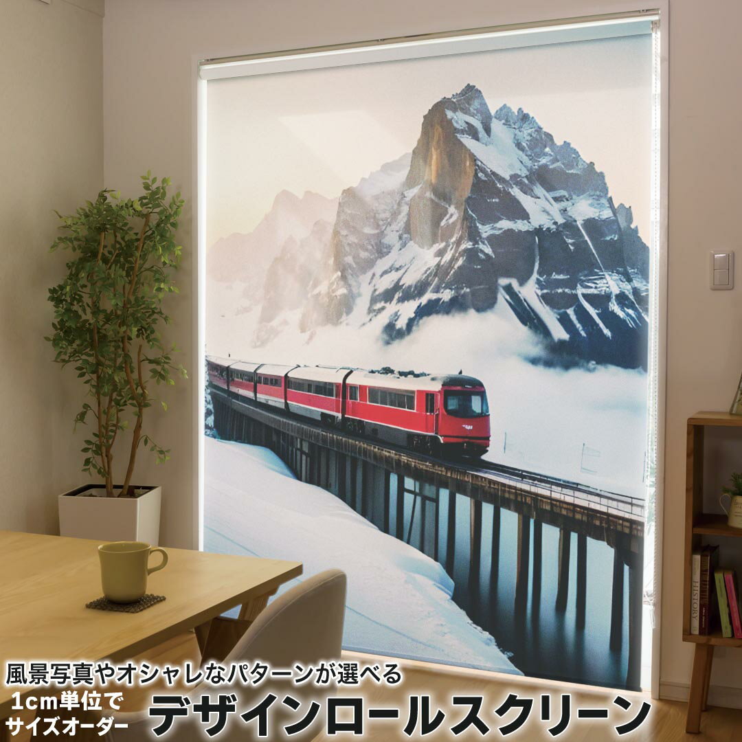 1cm単位サイズオーダー ロールスクリーン ロールカーテン オーダーメイド タチカワ 日本製 間仕切り カ..