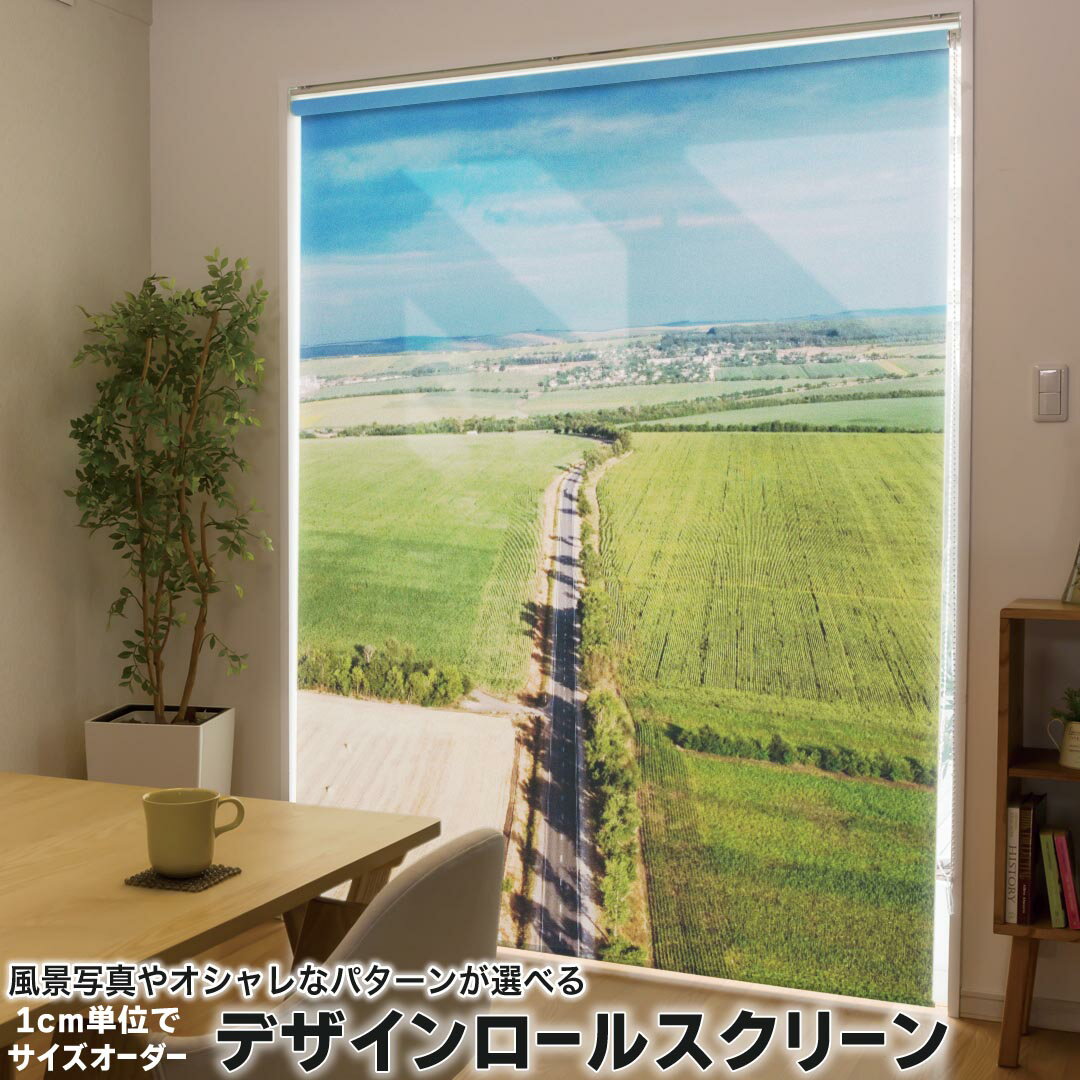 1cm単位サイズオーダー ロールスクリーン ロールカーテン オーダーメイド タチカワ 日本製 間仕切り カ..