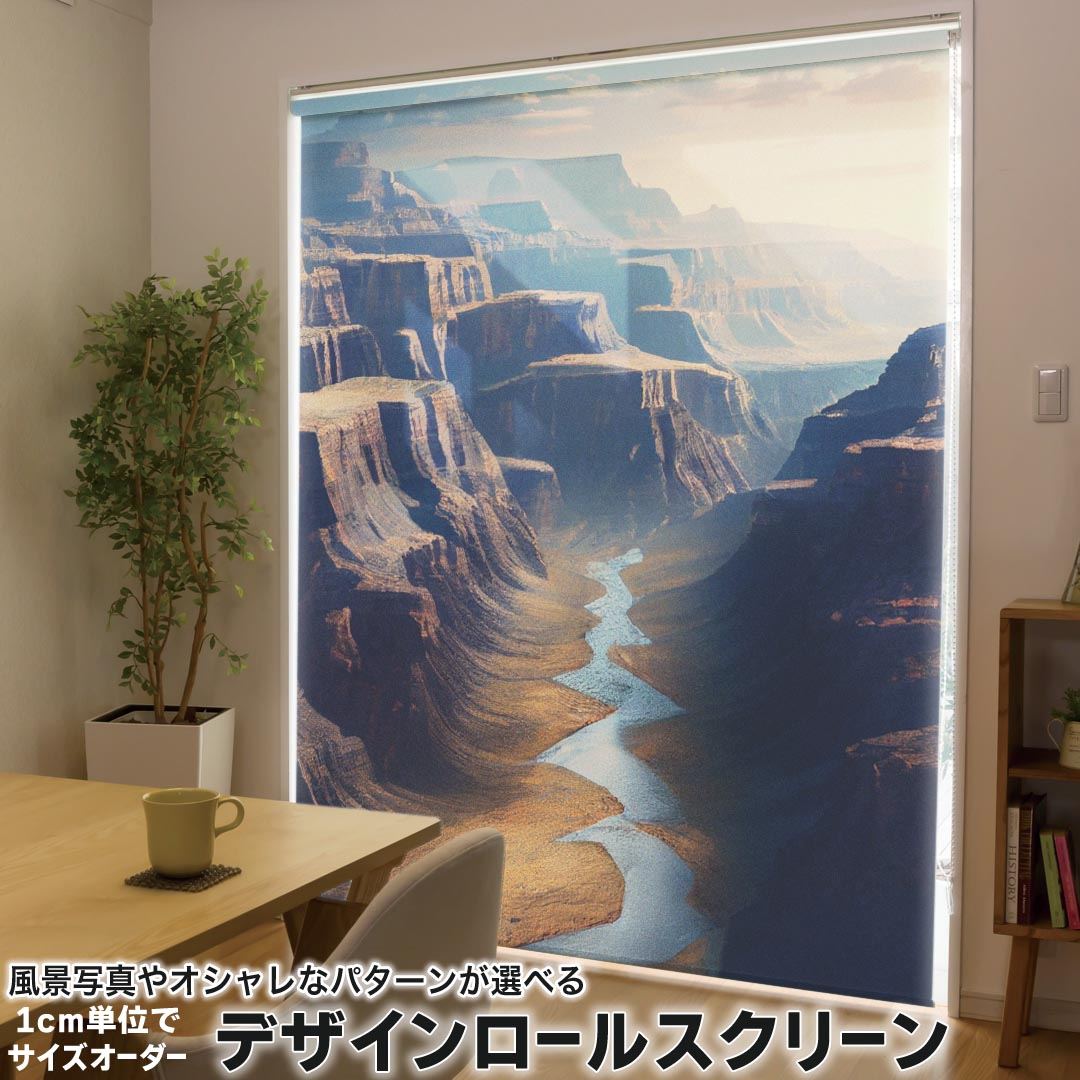 1cm単位サイズオーダー ロールスクリーン ロールカーテン オーダーメイド タチカワ 日本製 間仕切り カーテン 採光 非遮光 目隠し UVカット カーテンレール チェーン式 プル式 033850 風景