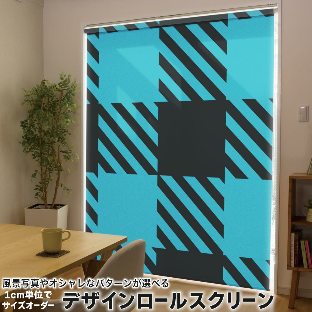 1cm単位サイズオーダー ロールスクリーン ロールカーテン オーダーメイド タチカワ 日本製 間仕切り カーテン 採光 非遮光 目隠し UVカット カーテンレール チェーン式 プル式 004303 チェック・ボーダー 模様 青 黒