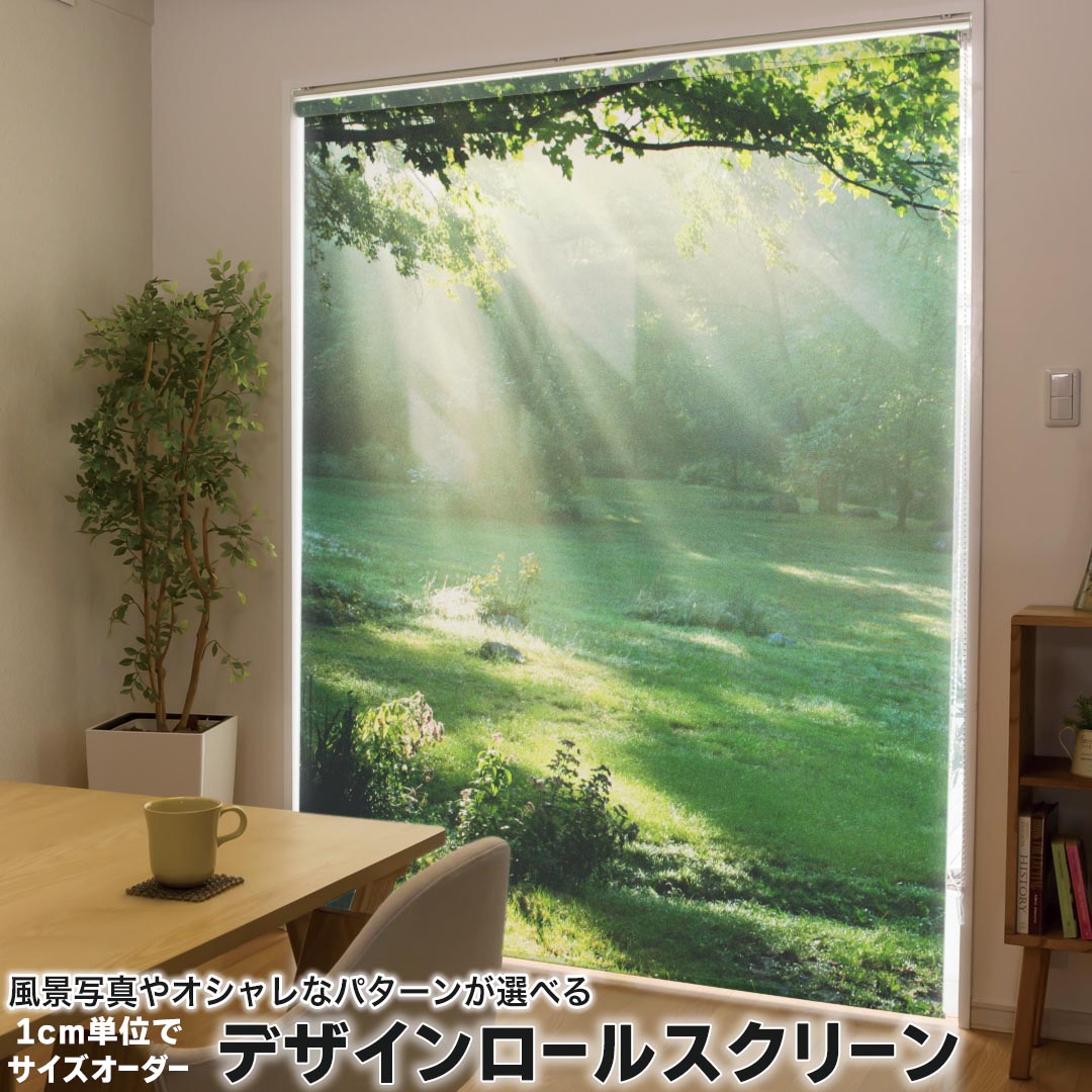 1cm単位サイズオーダー ロールスクリーン ロールカーテン オーダーメイド タチカワ 日本製 間仕切り カ..