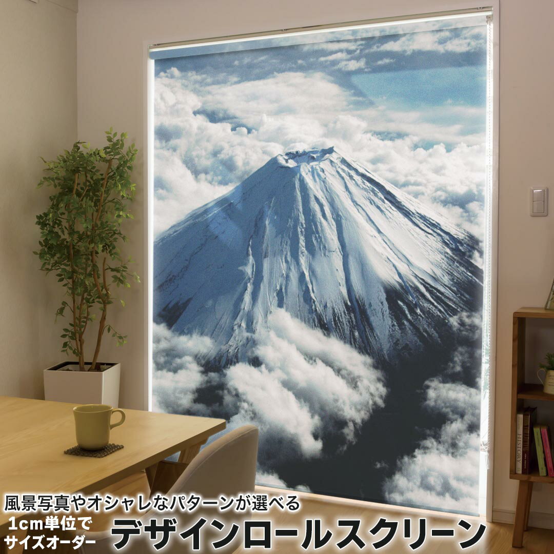 1cm単位サイズオーダー ロールスクリーン ロールカーテン オーダーメイド タチカワ 日本製 間仕切り カ..