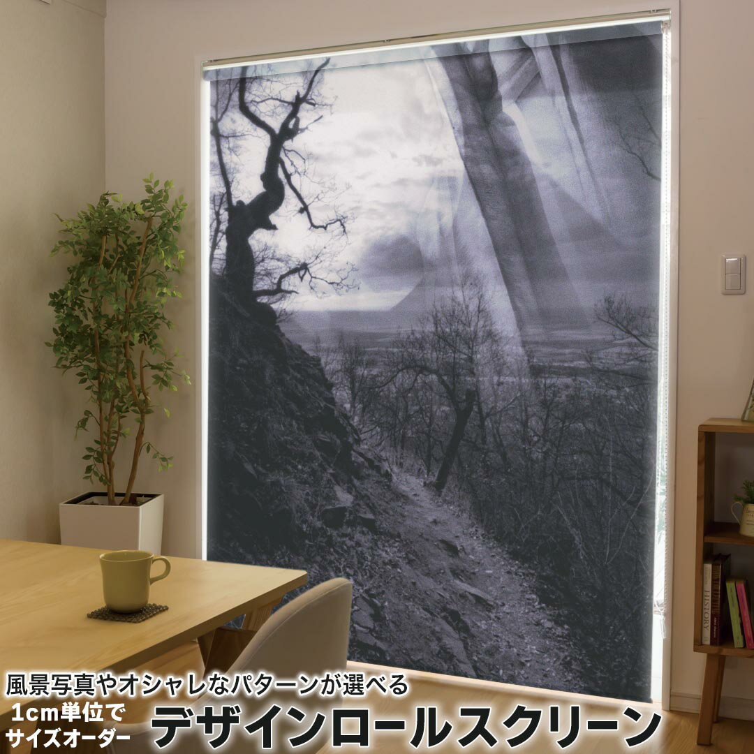 1cm単位サイズオーダー ロールスクリーン ロールカーテン オーダーメイド タチカワ 日本製 間仕切り カ..
