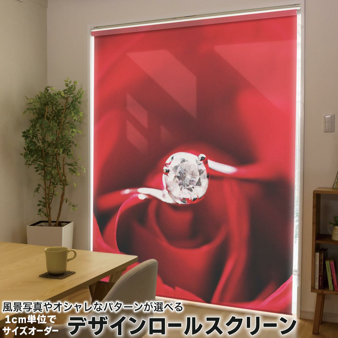 1cm単位サイズオーダー ロールスクリーン ロールカーテン オーダーメイド タチカワ 日本製 間仕切り カーテン 採光 非遮光 目隠し UVカ..