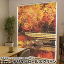 1cm単位サイズオーダー ロールスクリーン ロールカーテン オーダーメイド タチカワ 日本製 間仕切り カーテン 採光 非遮光 目隠し UVカット カーテンレール チェーン式 プル式 005203 写真・風景 紅葉 秋 景色
