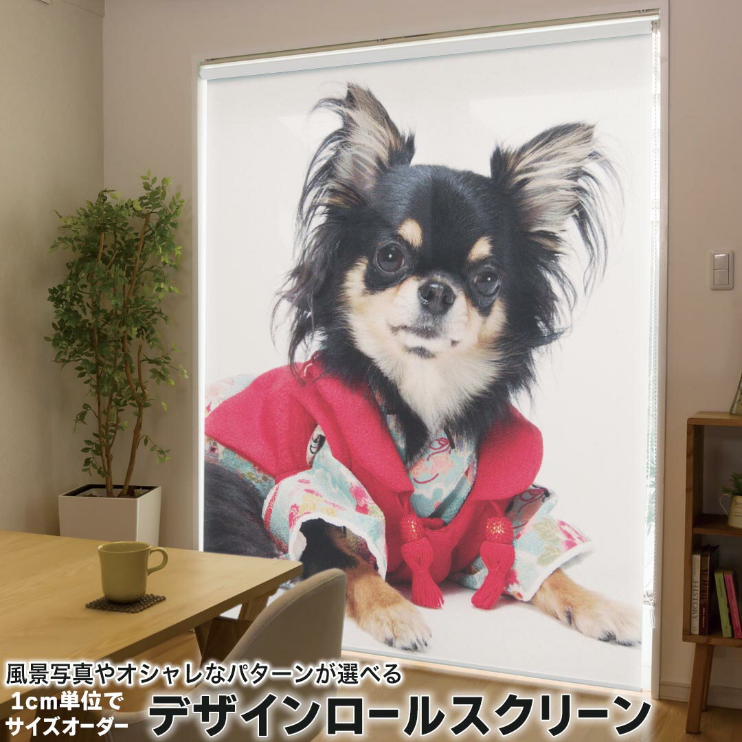 1cm単位サイズオーダー ロールスクリーン ロールカーテン オーダーメイド タチカワ 日本製 間仕切り カーテン 採光 非遮光 目隠し UVカット カーテンレール チェーン式 プル式 005221 アニマル 写真・風景 犬 チワワ 写真