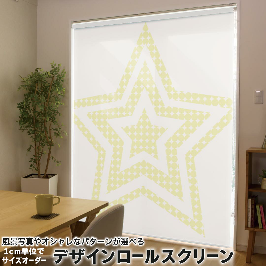 1cm単位サイズオーダー ロールスクリーン ロールカーテン オーダーメイド タチカワ 日本製 間仕切り カーテン 採光 非遮光 目隠し UVカット カーテンレール チェーン式 プル式 005727 その他 星 スター