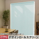 1cm単位サイズオーダー ロールスクリーン ロールカーテン オーダーメイド タチカワ 日本製 間仕切り カーテン 採光 非遮光 目隠し UVカット カーテンレール チェーン式 プル式 050218(3)