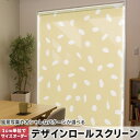 1cm単位サイズオーダー ロールスクリーン ロールカーテン オーダーメイド タチカワ 日本製 間仕切り カーテン 採光 非遮光 目隠し UVカット カーテンレール チェーン式 プル式 050465