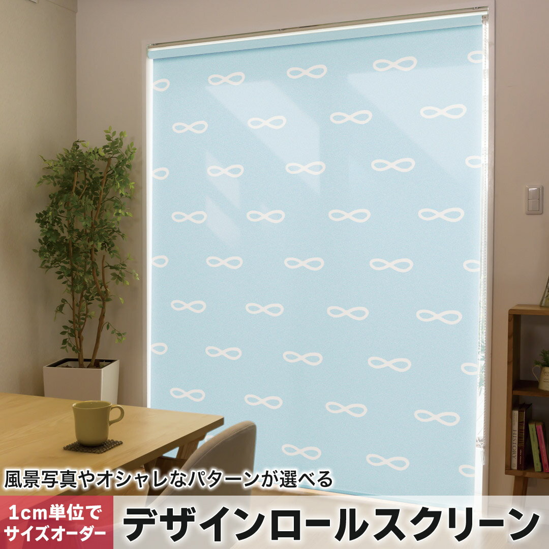 1cm単位サイズオーダー ロールスクリーン ロールカーテン オーダーメイド タチカワ 日本製 間仕切り カーテン 採光 非遮光 目隠し UVカット カーテンレール チェーン式 プル式 050745