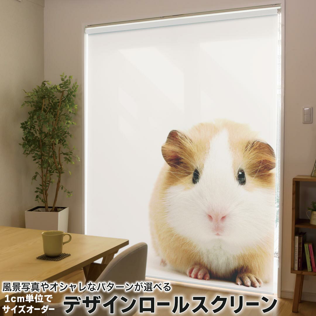 1cm単位サイズオーダー ロールスクリーン ロールカーテン オーダーメイド タチカワ 日本製 間仕切り カ..
