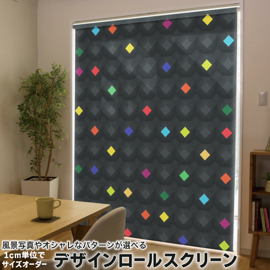 1cm単位サイズオーダー ロールスクリーン ロールカーテン オーダーメイド タチカワ 日本製 間仕切り カーテン 採光 非遮光 目隠し UVカット カーテンレール チェーン式 プル式 006050 その他 カラフル 模様