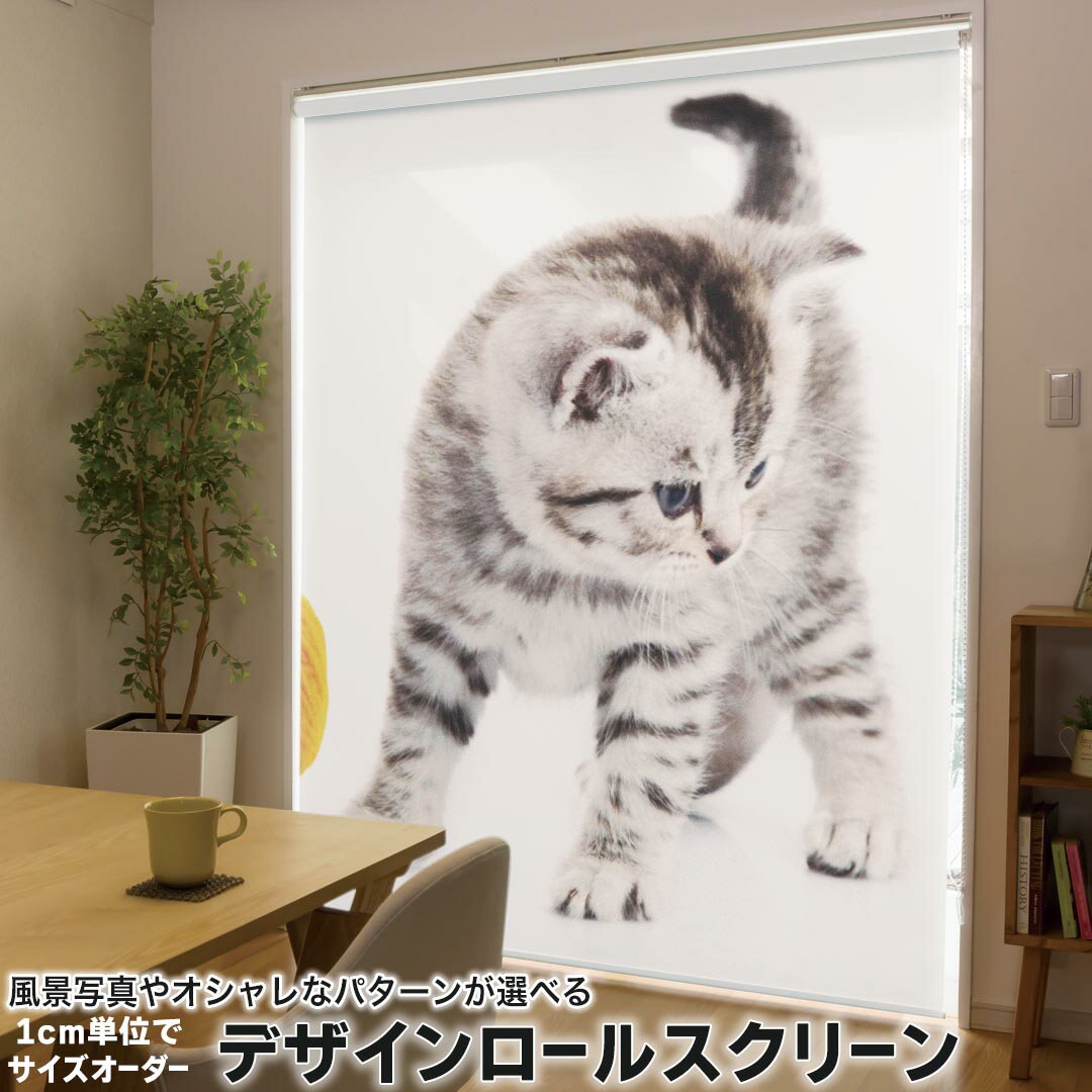 1cm単位サイズオーダー ロールスクリーン ロールカーテン オーダーメイド タチカワ 日本製 間仕切り カ..