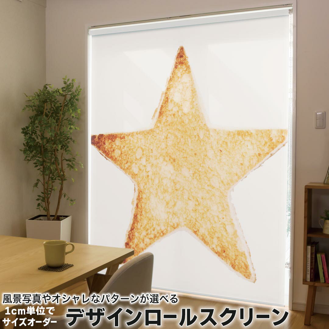 1cm単位サイズオーダー ロールスクリーン ロールカーテン オーダーメイド タチカワ 日本製 間仕切り カ..