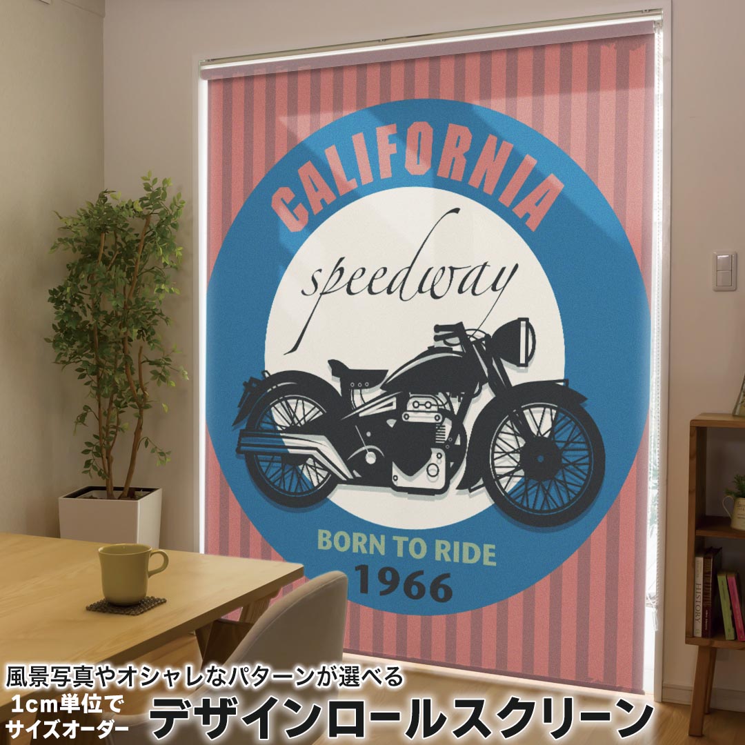 1cm単位サイズオーダー ロールスクリーン ロールカーテン オーダーメイド タチカワ 日本製 間仕切り カ..