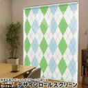 1cm単位サイズオーダー ロールスクリーン ロールカーテン オーダーメイド タチカワ 日本製 間仕切り カーテン 採光 非遮光 目隠し UVカット カーテンレー...