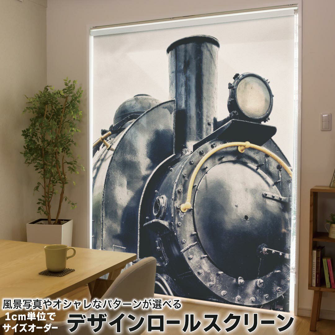 1cm単位サイズオーダー ロールスクリーン ロールカーテン オーダーメイド タチカワ 日本製 間仕切り カ..