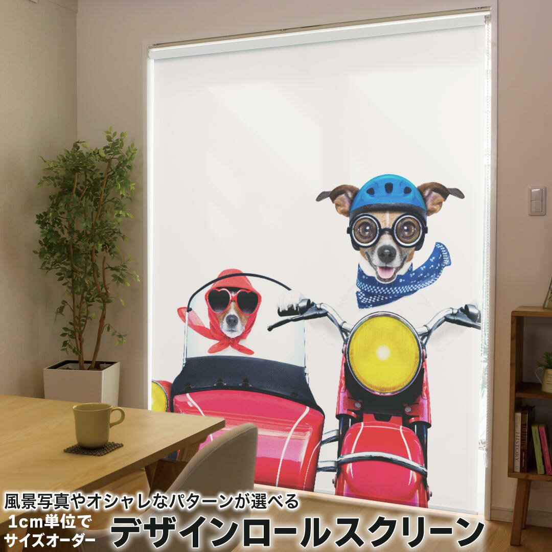 1cm単位サイズオーダー ロールスクリーン ロールカーテン オーダーメイド タチカワ 日本製 間仕切り カ..