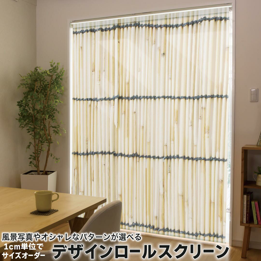 1cm単位サイズオーダー ロールスクリーン ロールカーテン オーダーメイド タチカワ 日本製 間仕切り カーテン 採光 非遮光 目隠し UVカット カーテンレール チェーン式 プル式 008341 チェック・ボーダー 写真　すだれ　模様