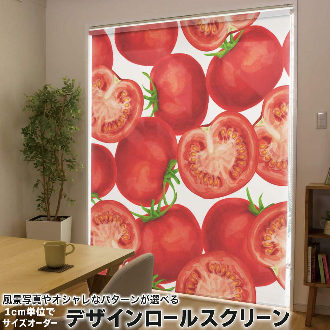 1cm単位サイズオーダー ロールスクリーン ロールカーテン オーダーメイド タチカワ 日本製 間仕切り カ..