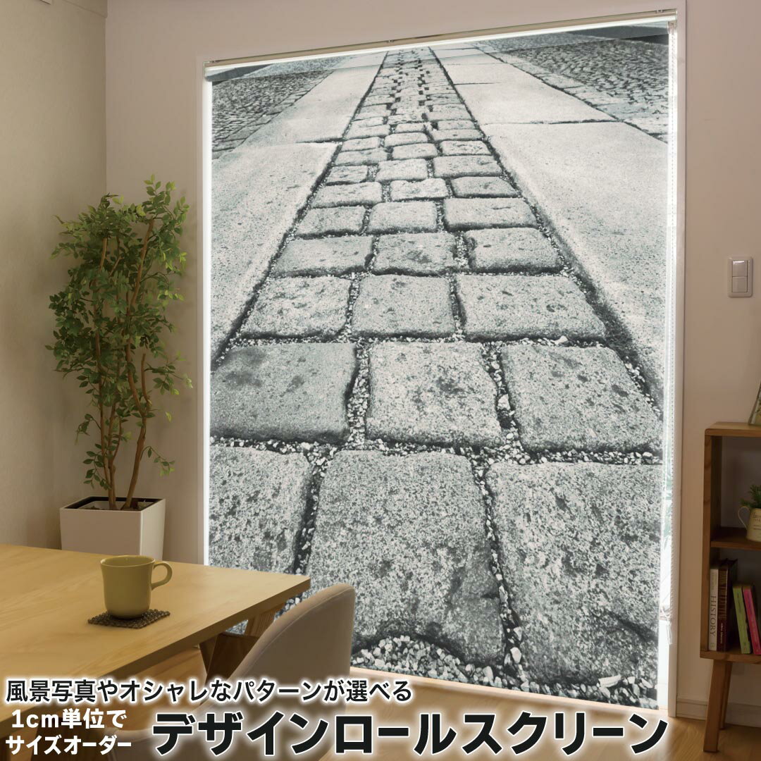 1cm単位サイズオーダー ロールスクリーン ロールカーテン オーダーメイド タチカワ 日本製 間仕切り カ..