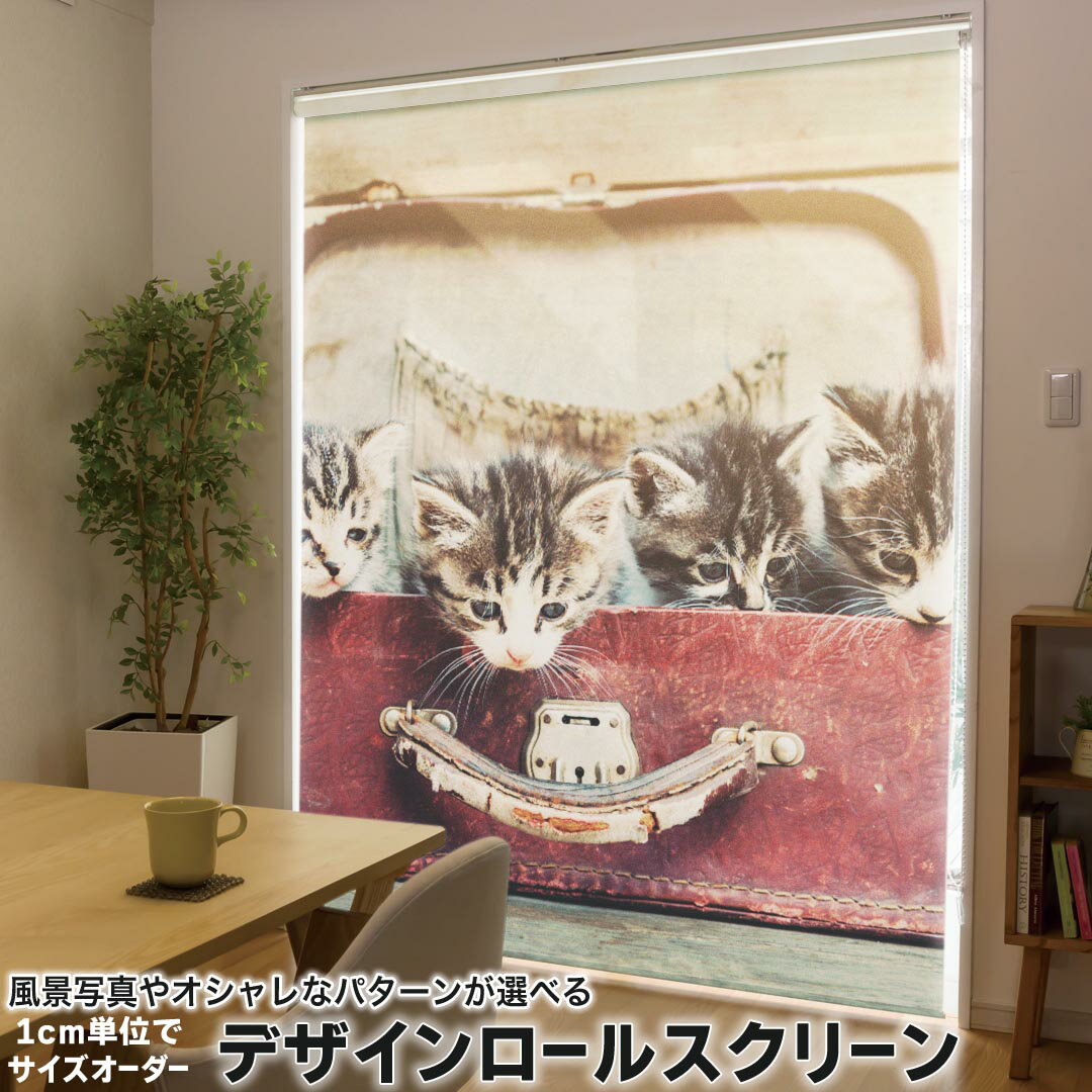 1cm単位サイズオーダー ロールスクリーン ロールカーテン オーダーメイド タチカワ 日本製 間仕切り カ..