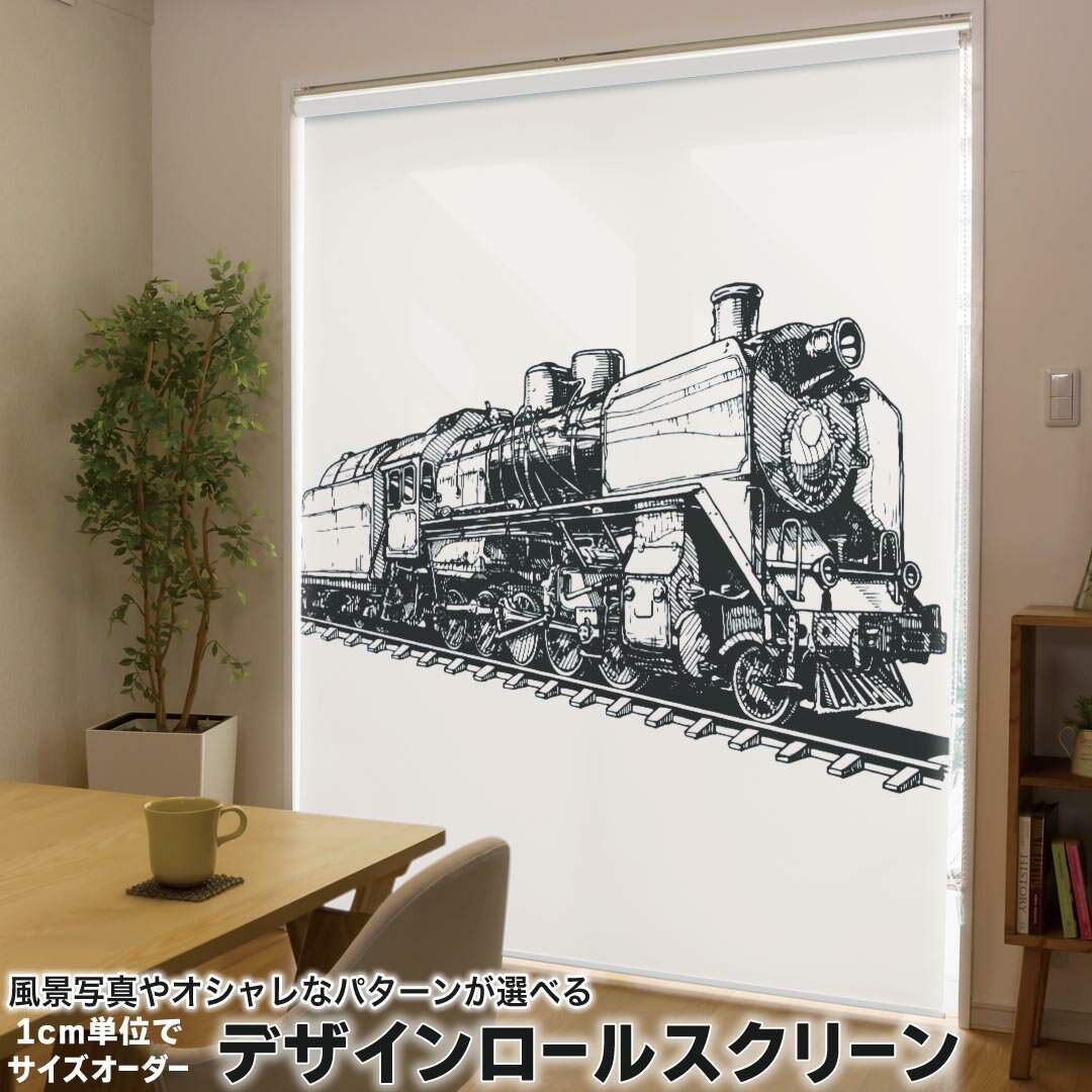 1cm単位サイズオーダー ロールスクリーン ロールカーテン オーダーメイド タチカワ 日本製 間仕切り カ..