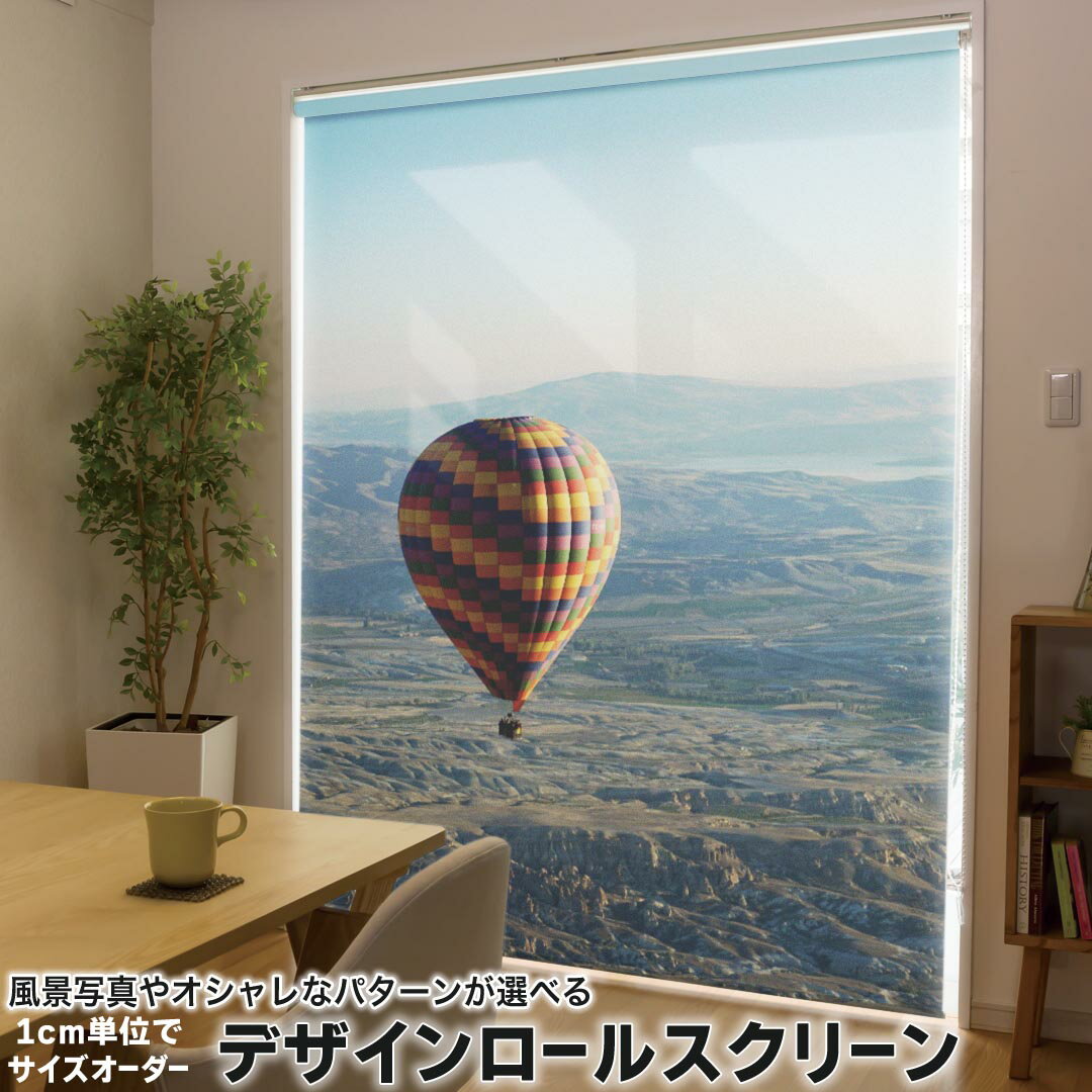 1cm単位サイズオーダー ロールスクリーン ロールカーテン オーダーメイド タチカワ 日本製 間仕切り カーテン 採光 非遮光 目隠し UVカット カーテンレール チェーン式 プル式 009683 気球　風景　写真