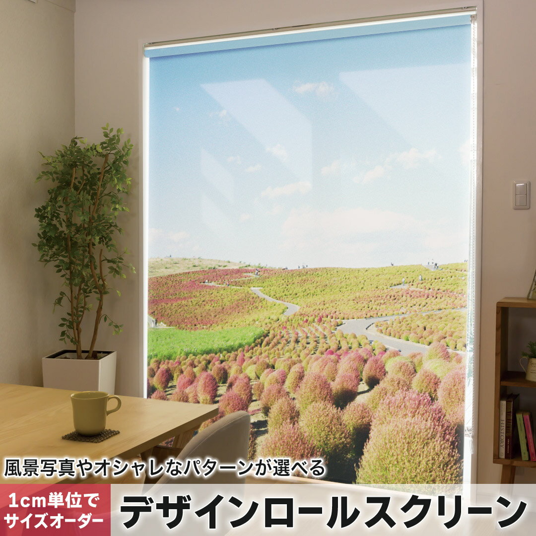 1cm単位サイズオーダー ロールスクリーン ロールカーテン オーダーメイド タチカワ 日本製 間仕切り カ..