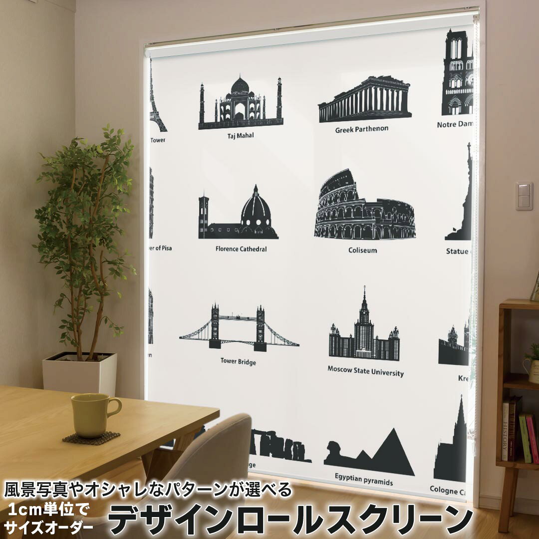 1cm単位サイズオーダー ロールスクリーン ロールカーテン オーダーメイド タチカワ 日本製 間仕切り カ..